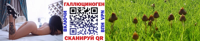 Купить где  Инза  Галлюциногенные грибы Cubensis 